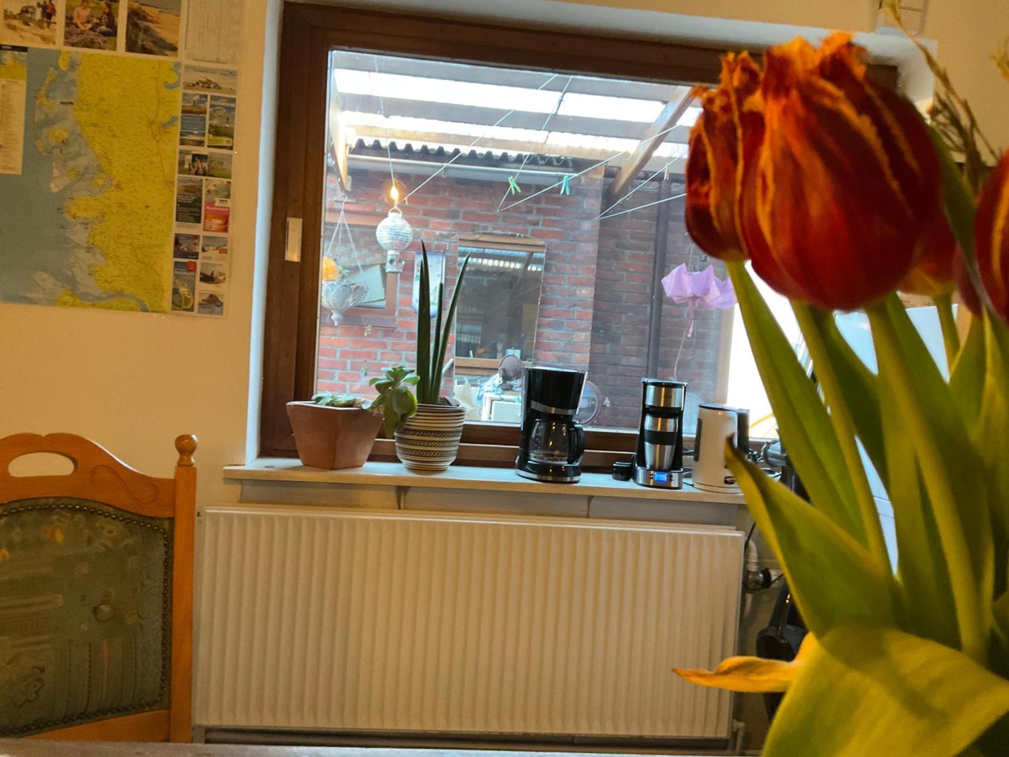 Privartzimmer 'Ausfahrt Freihalten' Husum  Exterior foto